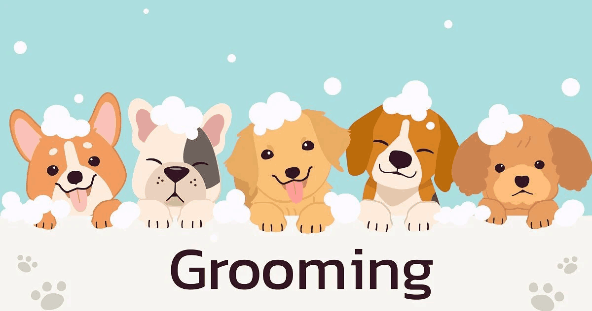 Pet Grooming