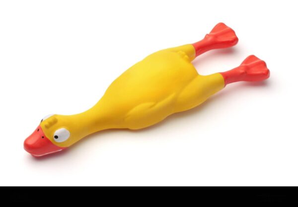 Noisy Duck Dog Toy with Squeaker for Dogs & Puppies