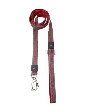 Holly Paws plush Fusion Leash