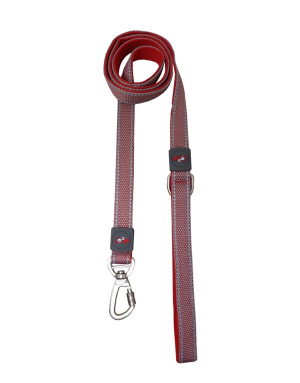 Holly Paws plush Fusion Leash